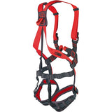 CAMP QUANTUM - Full body harness